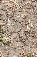 dry land, cracked ground