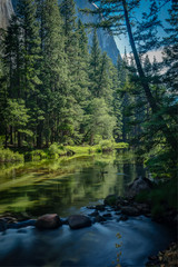 Obraz premium Yosemite National Park America's International Treasure