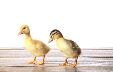 Cute ducklings on table against white background
