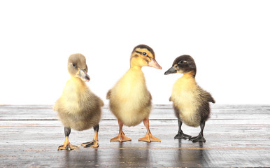 Cute ducklings on table against white background