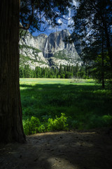 Yosemite National Park America's International Treasure