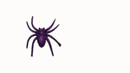 Purple spider model on white background