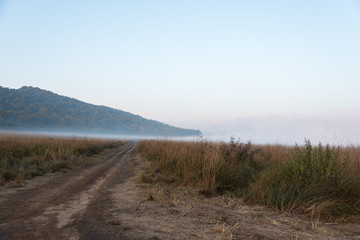 Winter morning fog in the grasslands of the forest