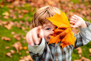 Autumnal mood. Little child boy in autumn orange leaves, outdoor.