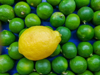 The yellow lemon stands out from the other green lime on the market.