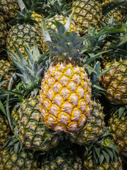 Yellow pineapples stand out from the others.
