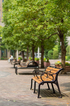 bench and tree in the park of italian street in tokyo, japan