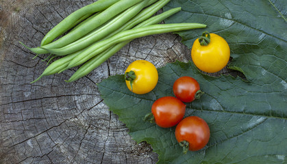 healthy fresh vegetables from home garden