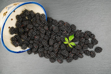 Fresh blackberries on slate with a blackberry leaf