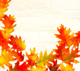 Autumn decor. Bright leaves on light background. Creative minimalism