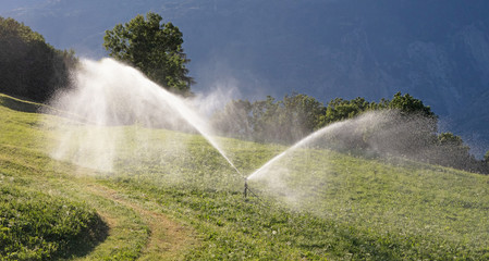 Sprinkler watering a lawn in Switserland