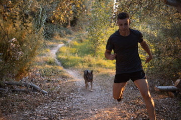 man training with his dog