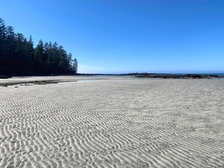 Fototapeta na wymiar A beautiful photo of a beach at low tide and the amazing ripple pattern in the sand as it dries, with a forest in the background, on a beautiful summer day at nels bight, in Cape Scott Provincial park