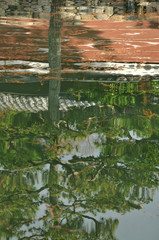 池に映る松の木