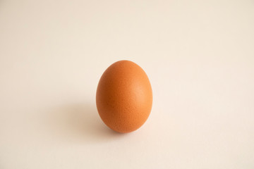 茶色い卵