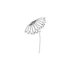 Simple continous line art. Minimalist vector illustration. Great for invitation, greeting card, packages, wrapping, premade logo, business card, stationery, etc. 