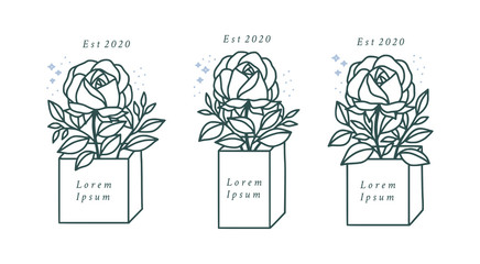 Hand drawn botanical rose flower element and box illustration for feminine beauty logo or brand package