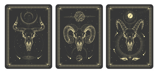 Modern magic witchcraft taros cards with animal skulls vector illustration
