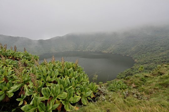 The crater lake of the Bisoke volcano. Volcanoes National Park. Rwanda. Africa.