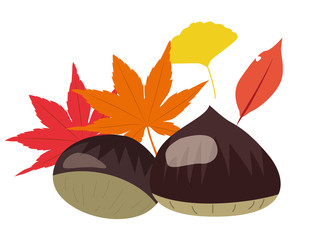 秋の栗イラスト © ken