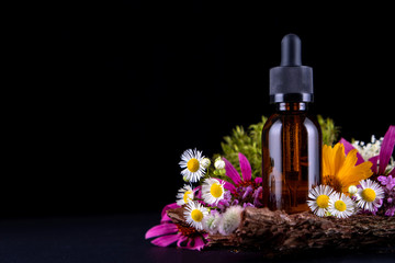 composition with glass bottle of body care organic cosmetics on tree bark pedestal with  real , mosses and flowers. Cosmetic background  mock up for product presentation.