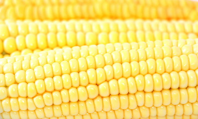 Natural ripe yellow young corn.
