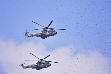 Desfile militar México