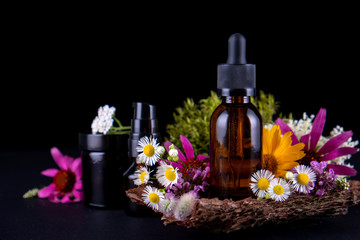 composition with glass bottle of body care organic cosmetics on tree bark pedestal with  real , mosses and flowers. Cosmetic background  mock up for product presentation.