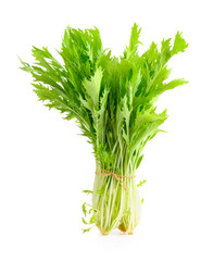 Fresh mizuna on white background