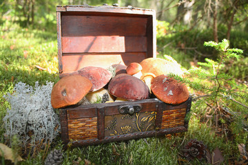 Beautiful autumn gifts in a wooden box.