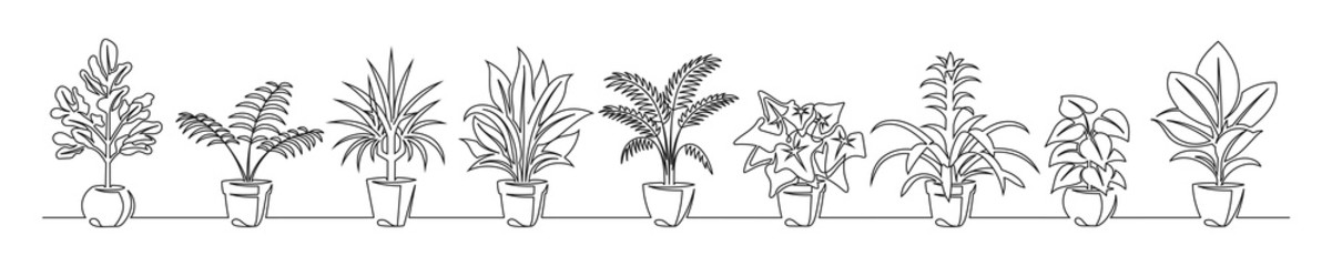 Set of continuous line drawing of a flowers in a pots
