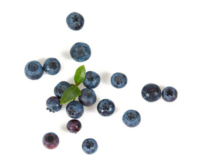 fresh blueberries isolated on white background
