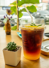 Tonic orange iced coffee in plastic cup decorated with cactus nearby in cafe table