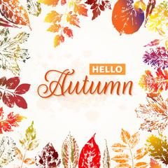 Hello autumn nature background with colorful leaves imprints. Vector illustration