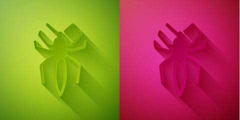 Paper cut Spider icon isolated on green and pink background. Happy Halloween party. Paper art style. Vector.