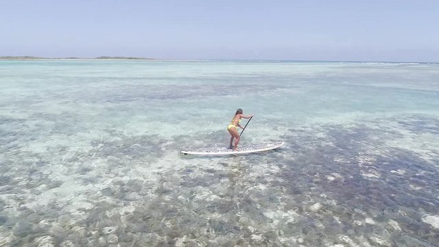 Fit hispanic woman with yellow bikini on white paddle board in Francisky island Los Roques Venezuela National Park in Caribbean Sea