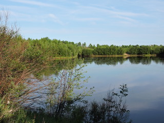 Fototapeta premium lake in the forest