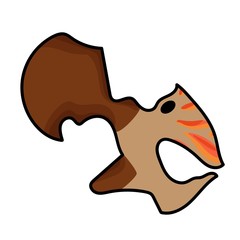 head of a hawk bird screams with a brown beak