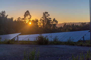 Group of solar panels during the sunset