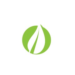 Leaf Logo Template vector symbol