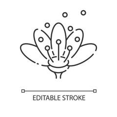 Pollen linear icon. Natural flowers reproduction. Pollination, seasonal allergy, beekeeping thin line customizable illustration. Contour symbol. Vector isolated outline drawing. Editable stroke