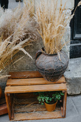 Dried herbs and grass in rustic modern vases on wooden boxes, festive autumn decor in city street. Modern Halloween street decor. Happy Thanksgiving.