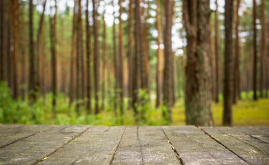 Fototapeta na wymiar Forest blur background. Summer or spring forest in sunny weather in blur backagrund with wooden table.