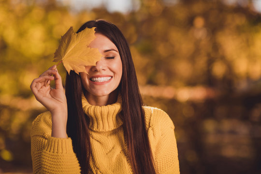 Close up portrait of positive cheerful woman environment lover enjoy rest relax autumn nature park close cover eye face maple leaf wear knitted sweater jumper