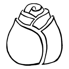 Rose blooming icon. Vector illustration of a rose bud with leaves. Hand drawn beautiful rose flower.