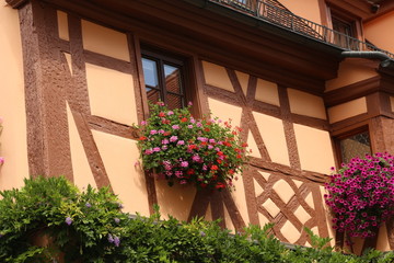Fototapeta na wymiar Blossoming geranium on the windows and balconies