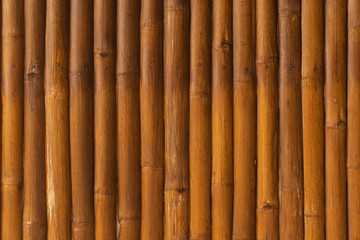 Bamboo wood texture close up