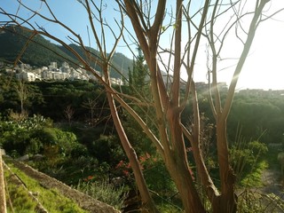 Lebanon