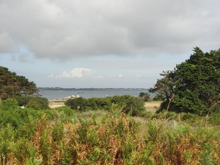 Ile Callot, Finistère, Bretagne, France