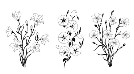 Set of graphic black and white flowers